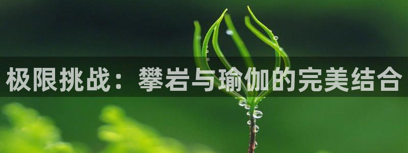 bbin视讯下：极限挑战：攀岩与瑜伽的完美结合