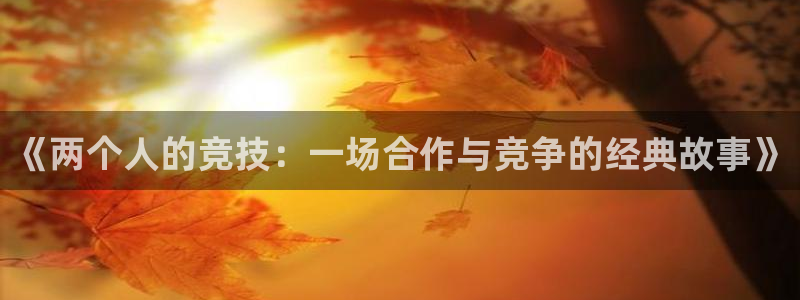 bbin视讯：《两个人的竞技：一场合作与竞争的经典故事》