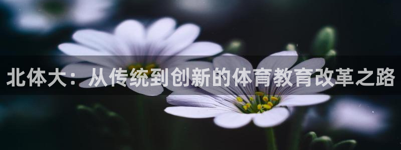 bbin视讯：北体大：从传统到创新的体育教育改革之路