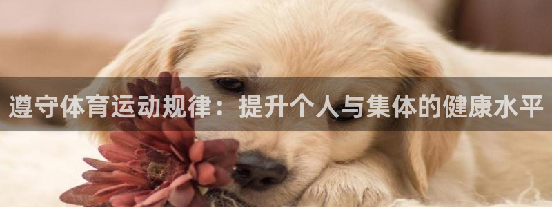 bbin视讯：遵守体育运动规律：提升个人与集体的健康水平