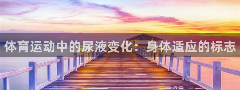 bbin视讯游戏平台：体育运动中的尿液变化：身体适应的标志