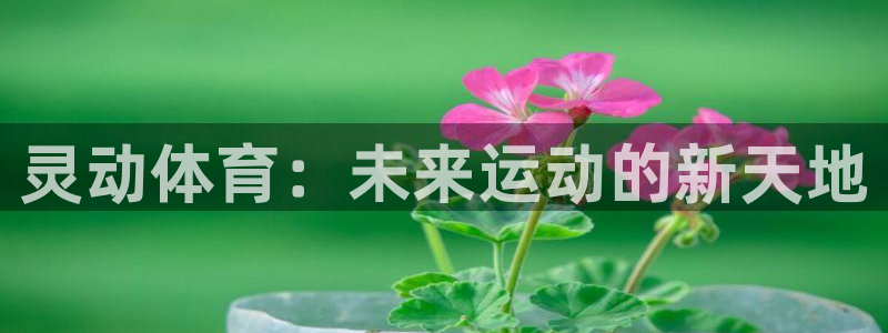 bbin视讯：灵动体育：未来运动的新天地