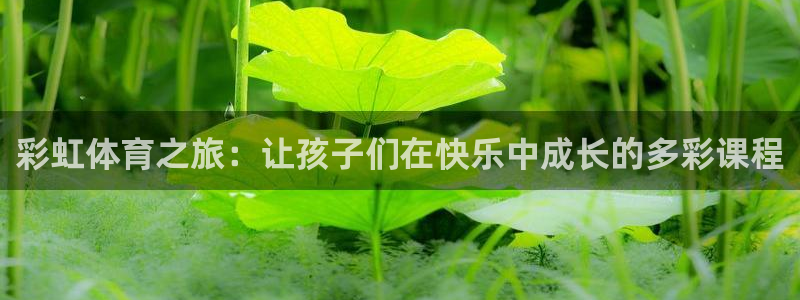 bbin视讯下：彩虹体育之旅：让孩子们在快乐中成长的多彩课程